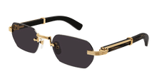 Cartier CT0362S-001