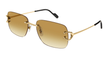 Cartier CT0330S-003
