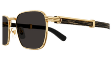 Cartier CT0363S-001