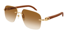 Cartier CT0041RS-001