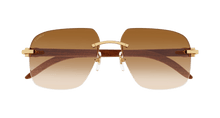 Cartier CT0041RS-001