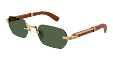 Cartier CT0362S-002