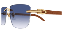 Cartier CT0040RS-001