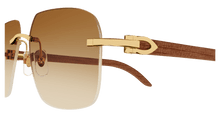 Cartier CT0041RS-001