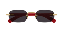 Cartier CT0362S-004