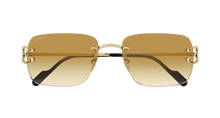 Cartier CT0330S-003