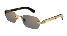 Cartier CT0362S-003