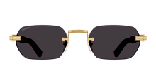 Cartier CT0362S-004