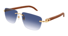 Cartier CT0040RS-001