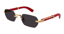Cartier CT0362S-004