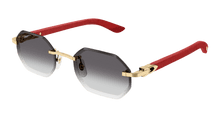 Cartier CT0439S-003