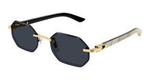 Cartier CT0439S-002