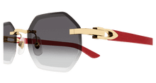 Cartier CT0439S-003
