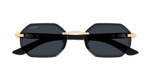 Cartier CT0439S-001