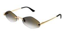 Cartier CT0433S-001