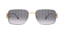 Cartier CT0330S-007