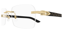 Cartier CT0453O-001