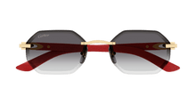 Cartier CT0439S-003