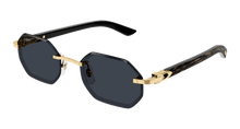 Cartier CT0439S-001