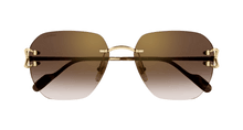 Cartier CT0394S-002