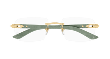 Cartier CT0453O-005