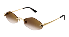 Cartier CT0433S-002