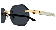 Cartier CT0439S-002