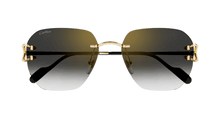 Cartier CT0394S-001