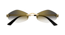 Cartier CT0433S-001