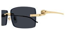 Cartier CT0430S-001