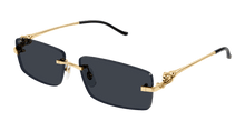 Cartier CT0430S-001