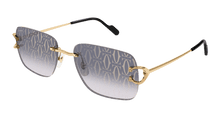 Cartier CT0330S-008