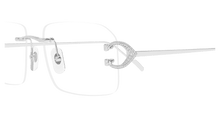 Cartier CT0489S-001