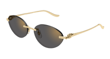 Cartier CT0504S-001