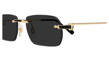 Cartier CT0498S-001