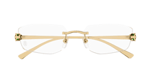 Cartier CT0494O-001