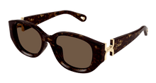 Chloé CH0237SK-002