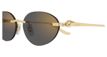 Cartier CT0504S-001