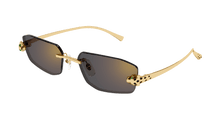 Cartier CT0474S-001