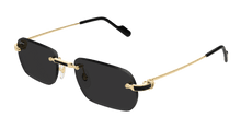 Cartier CT0498S-001