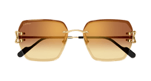 Cartier CT0466S-004