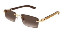 Cartier CT0582S-003