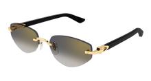 Cartier CT0580S-001