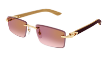 Cartier CT0582S-002