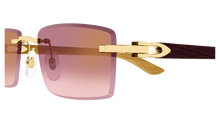 Cartier CT0582S-002