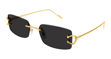 Cartier CT0605S-001