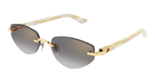 Cartier CT0580S-003