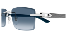 Cartier CT0582S-004