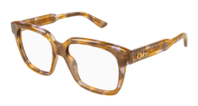 Chloé CH0340O-005