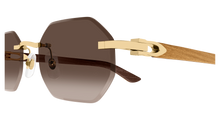 Cartier CT0439S-006